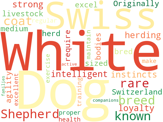 Word Cloud for white_swiss_shepherd_dog