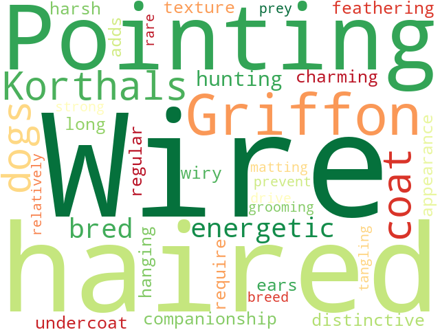 Word Cloud for wire_haired_pointing_griffon_korthals