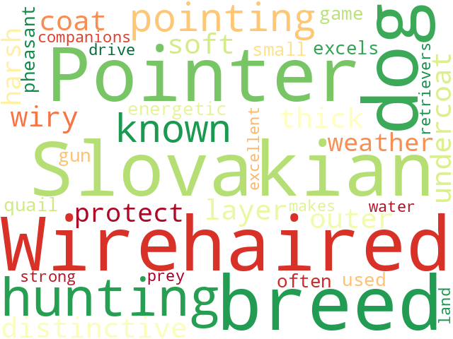 Word Cloud for wirehaired_slovakian_pointer