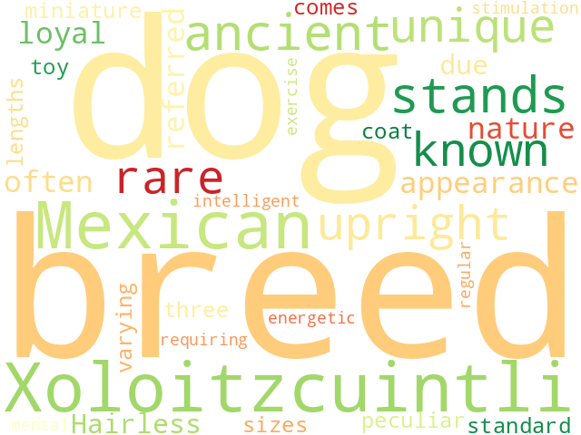 Word Cloud for xoloitzcuintle