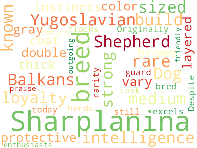 Word Cloud for yugoslavian_shepherd_dog_sharplanina