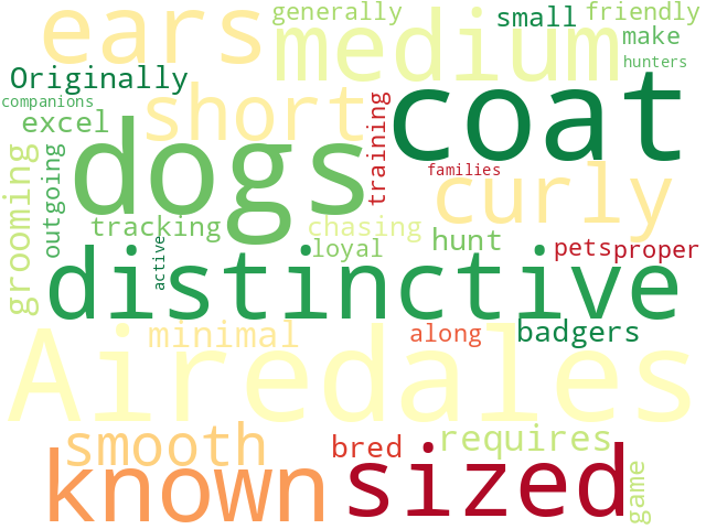 Word Cloud for airedale