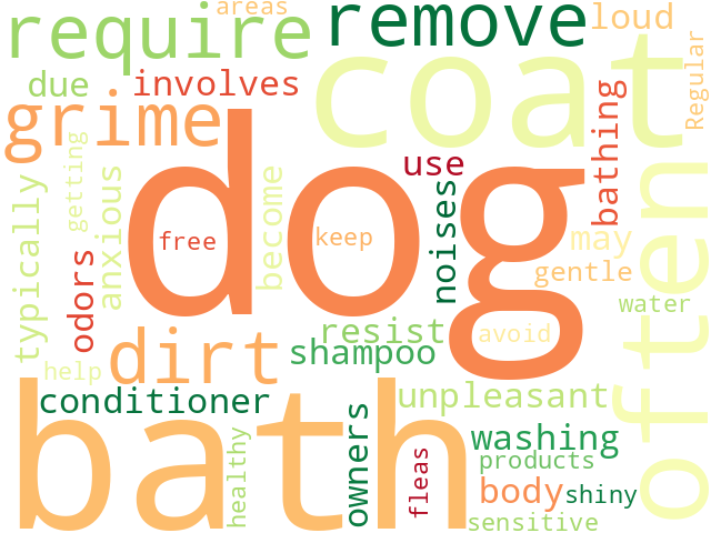 Word Cloud for dog_bath