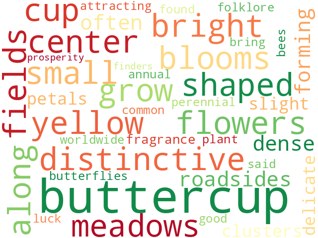 Word Cloud for buttercup