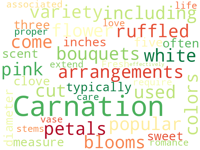 Word Cloud for carnation