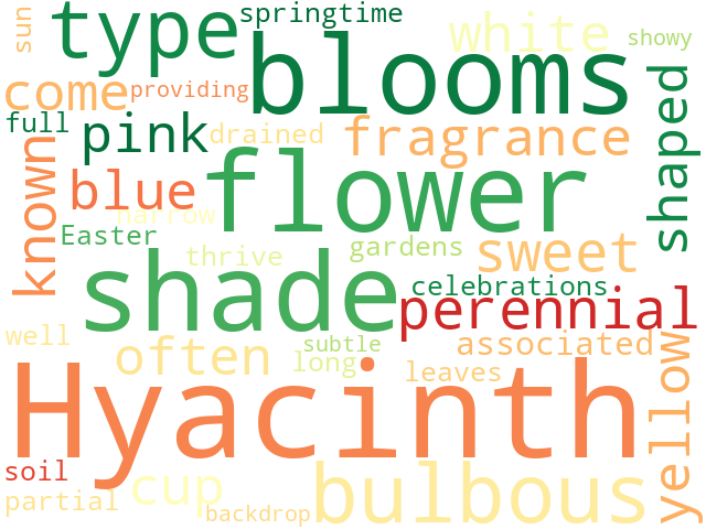 Word Cloud for hyacinth