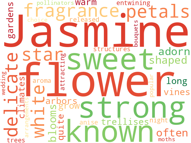 Word Cloud for jasmine