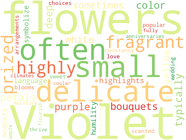 Word Cloud for violet