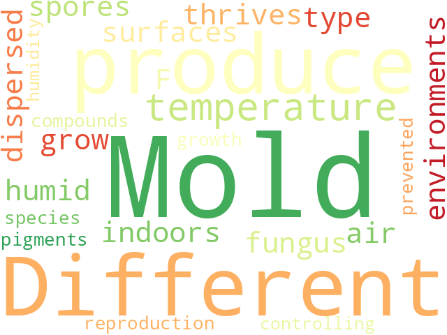 Word Cloud for mold