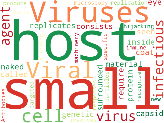 Word Cloud for virus