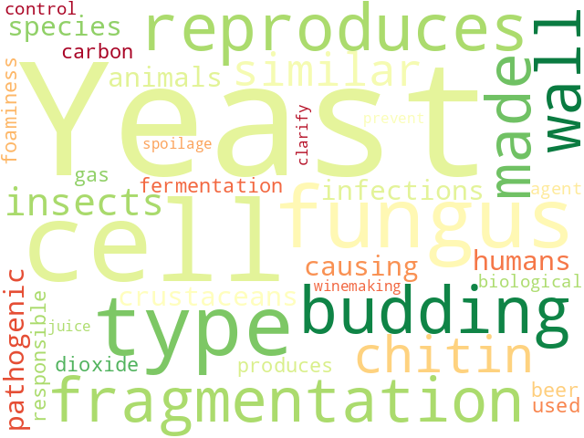 Word Cloud for yeast