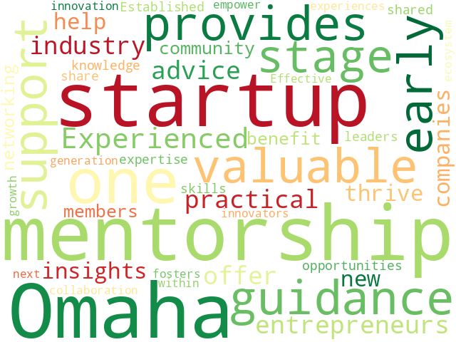 Word Cloud for mentorship
