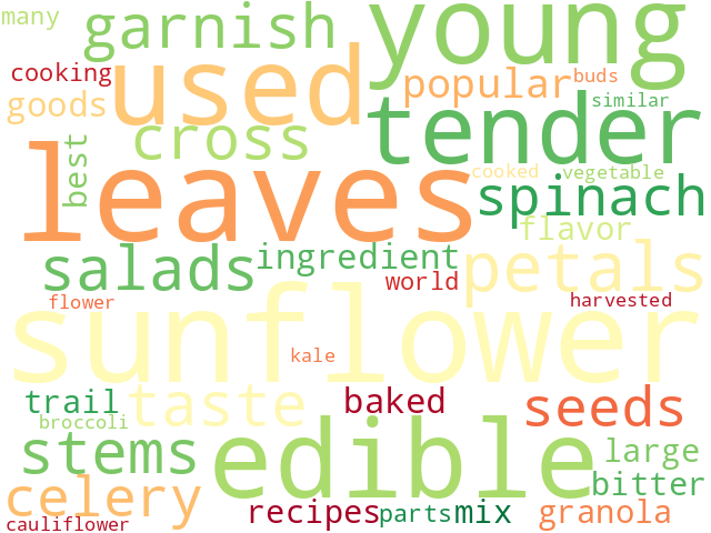 Word Cloud for edible