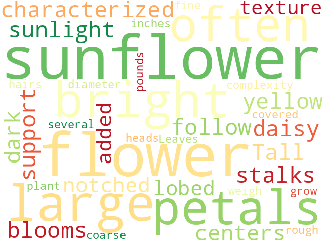 Word Cloud for flower