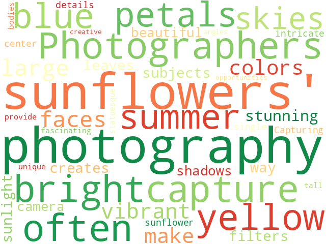 Word Cloud for photography