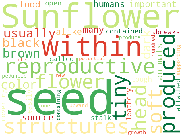 Word Cloud for seeds