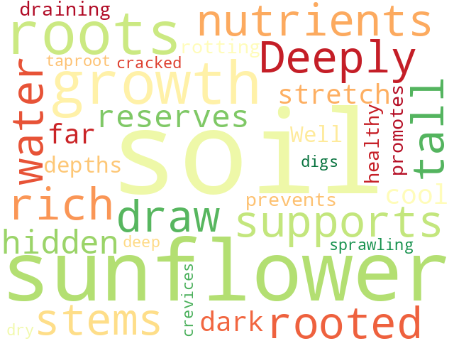 Word Cloud for soil
