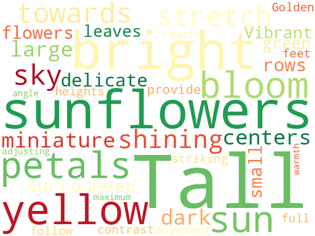 Word Cloud for sunflower
