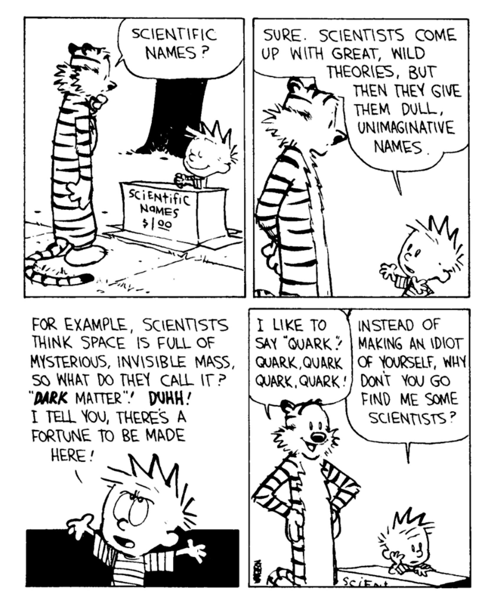 Calvin And Hobbes