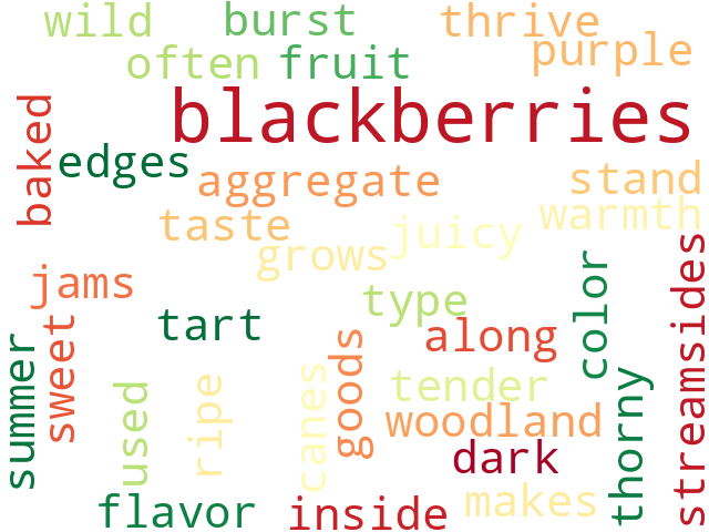 Word Cloud for blackberry