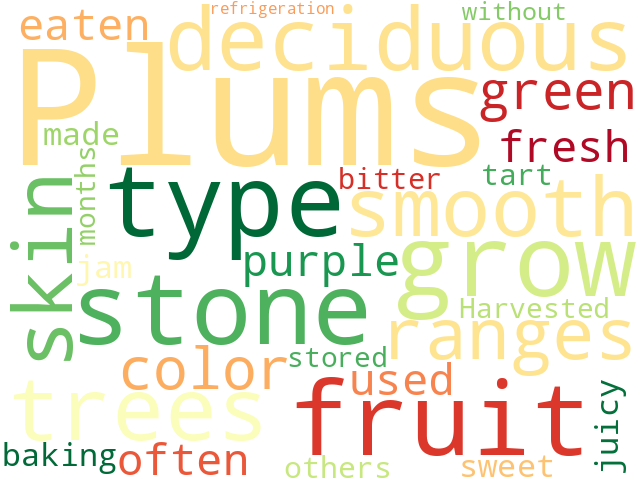 Word Cloud for plum